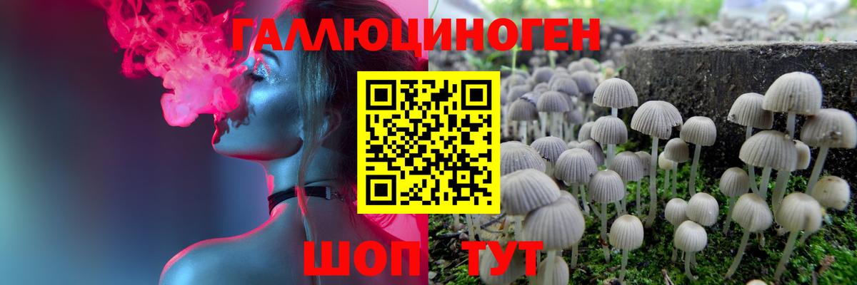 Псилоцибиновые грибы мицелий Свободный